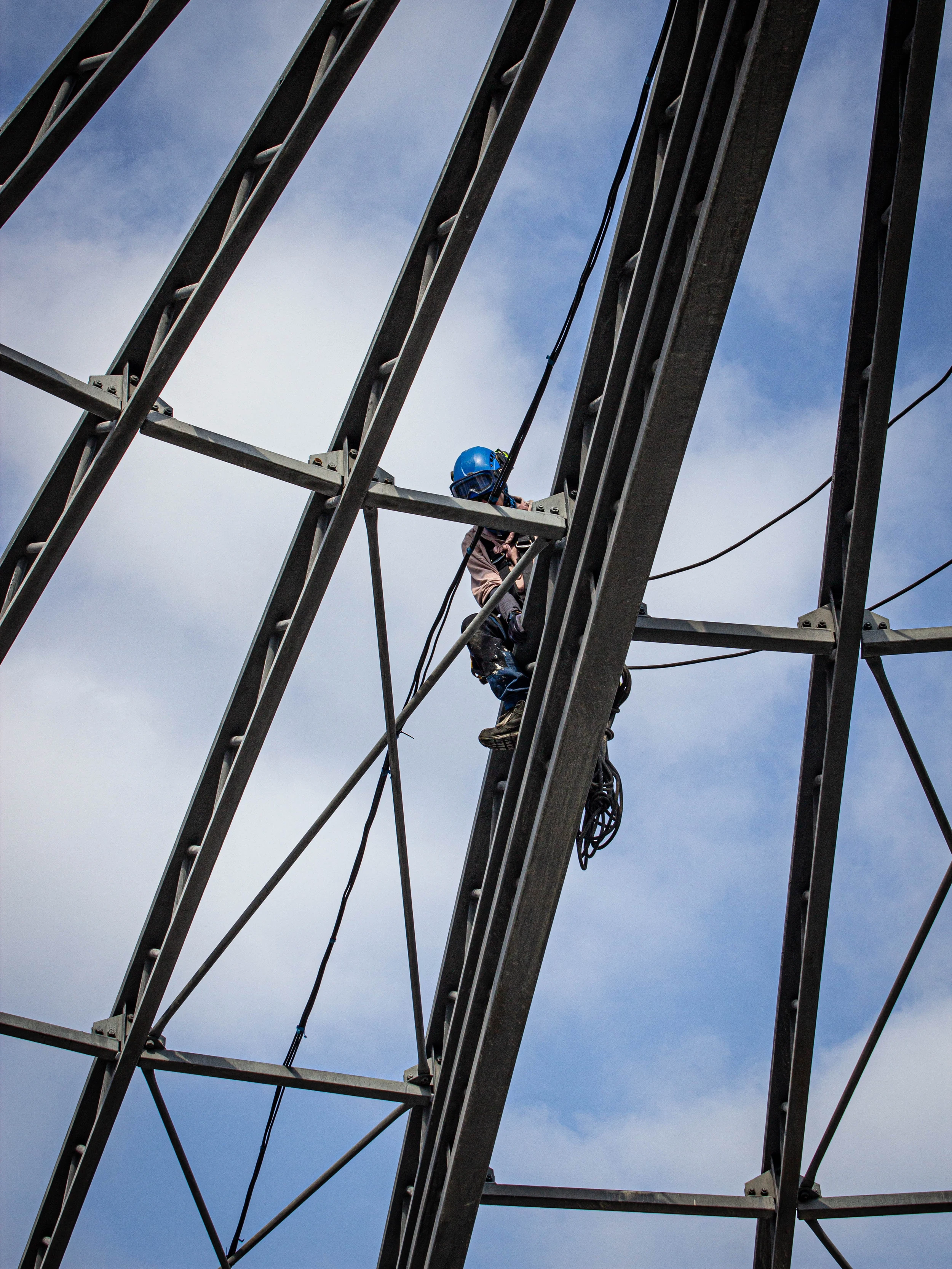 Intervention de cordistes MS Access pour le tournesol perd ses pétales chez AVENIR DECONSTRUCTION à Braud-Saint-Louis (bâtiment) – 3